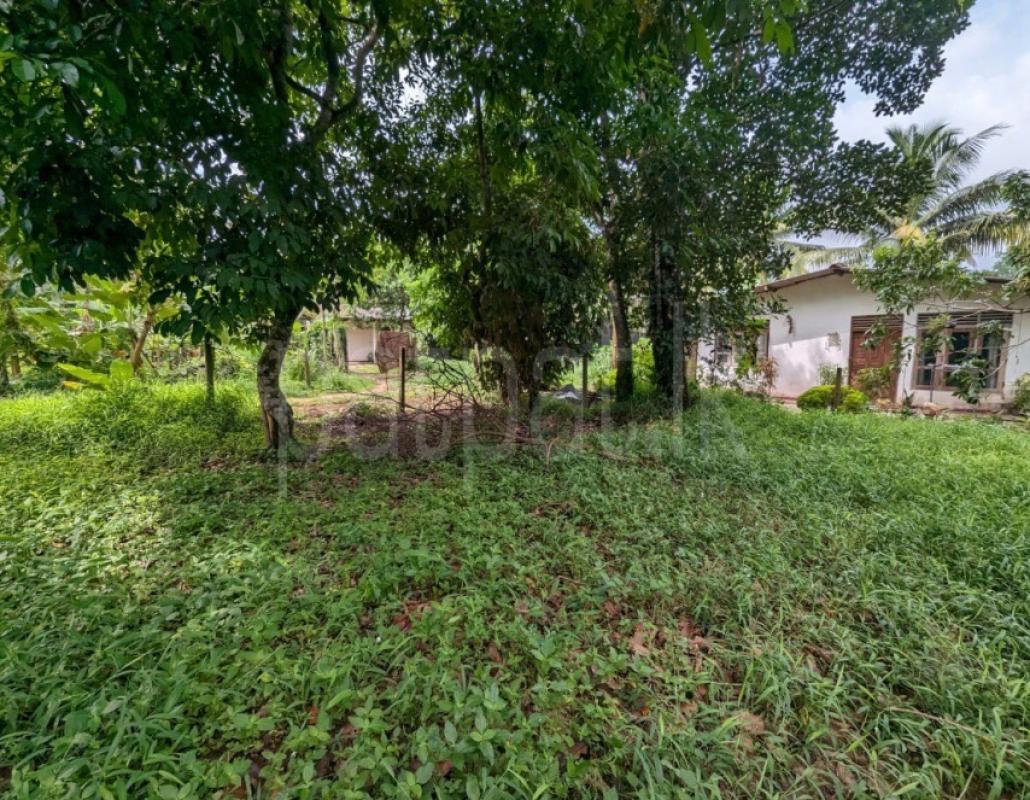 Residential Land for Sale in Kadawatha ads-image-1