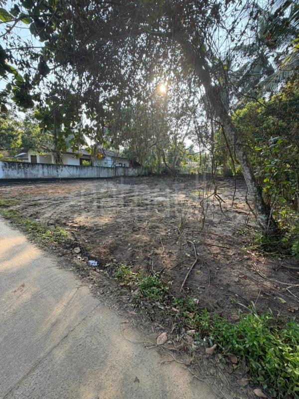Residential Land for Sale in Bandaragama