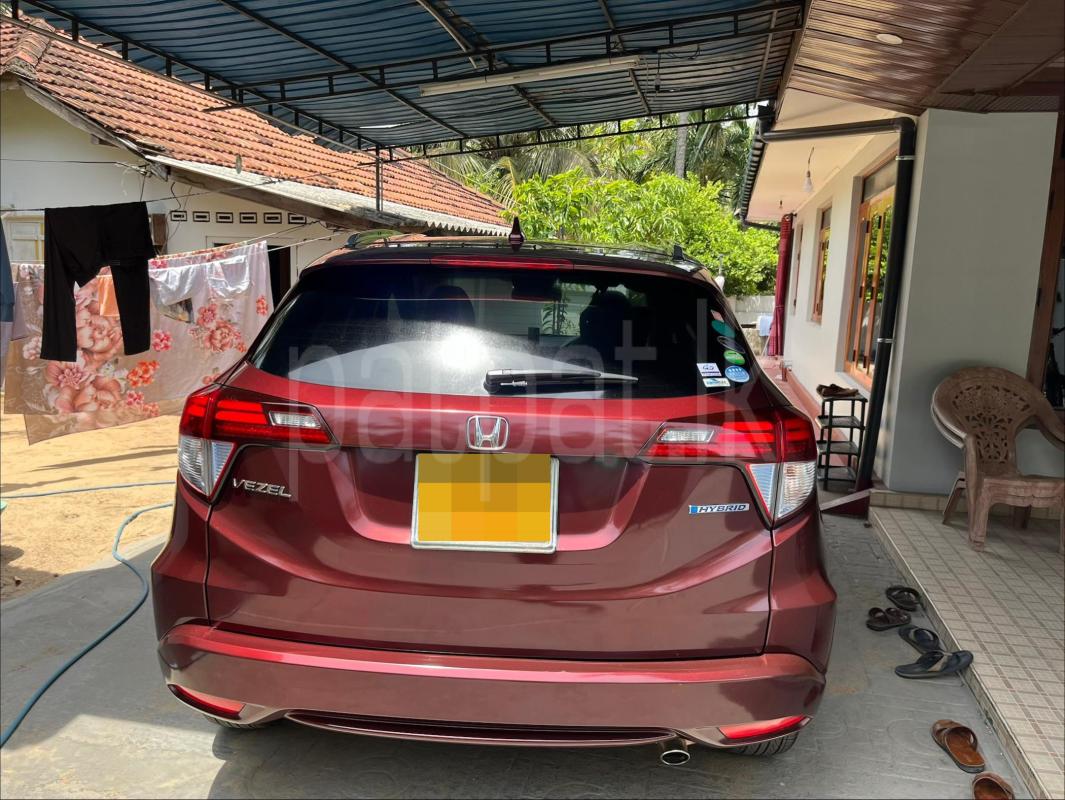 Advertisement image 2