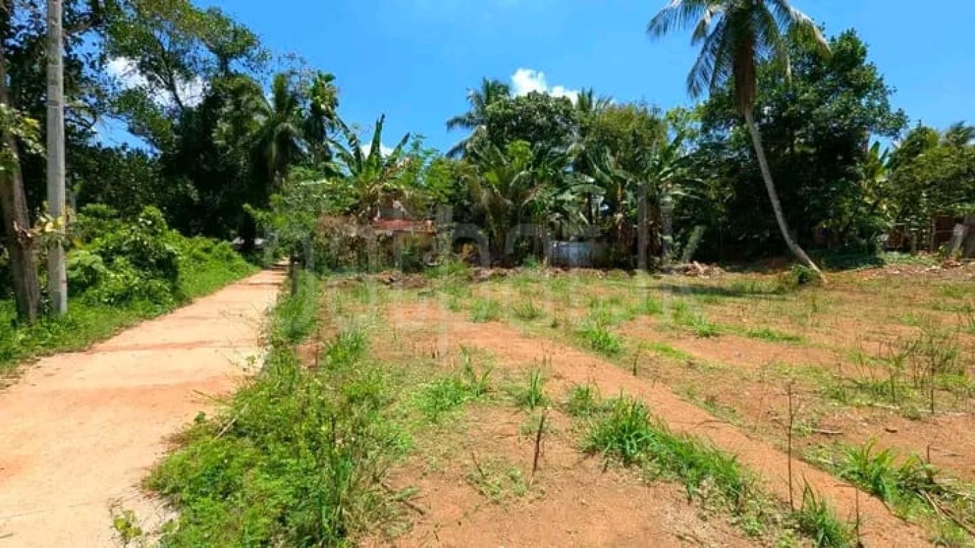 Commercial Land for Sale in Yakkala ads-image-1