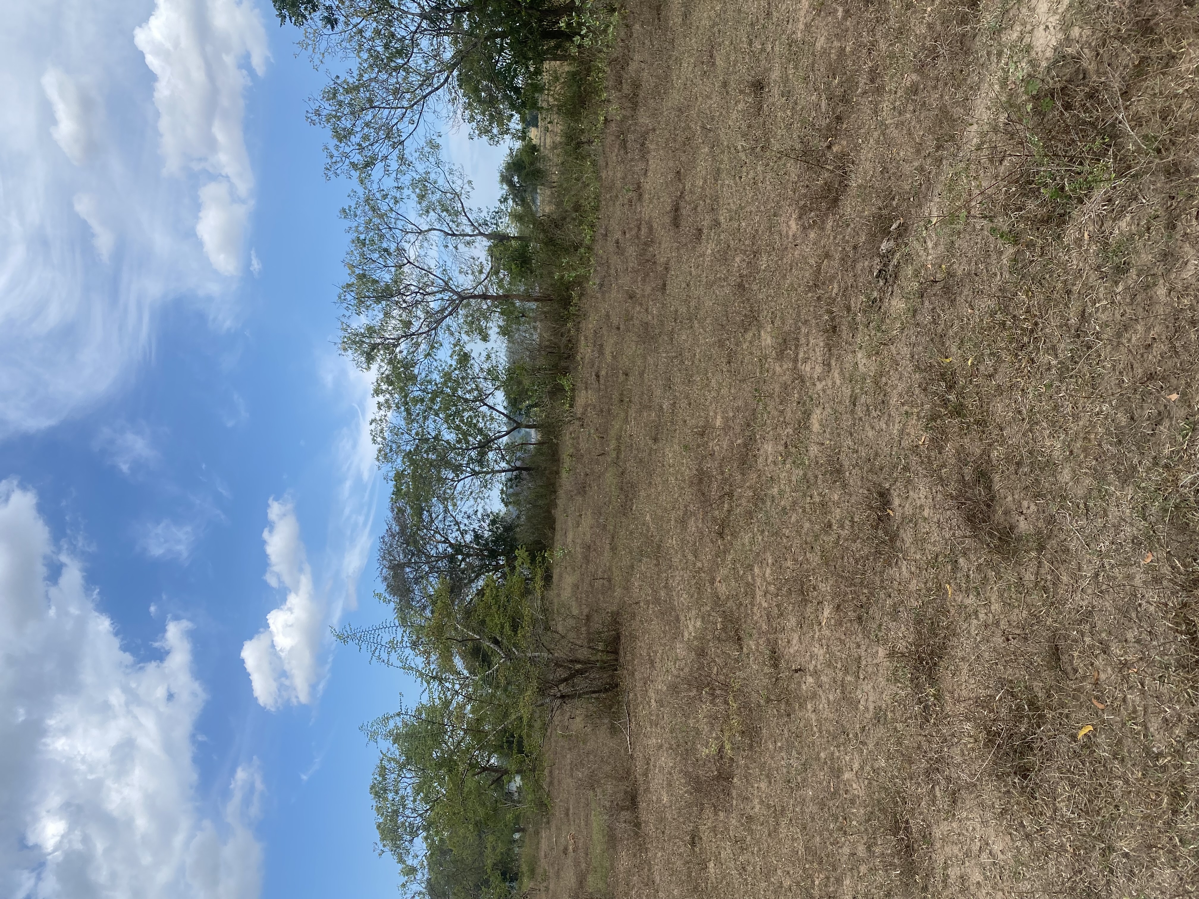 Residential Land for Sale in Mount Lavinia ads-image-1