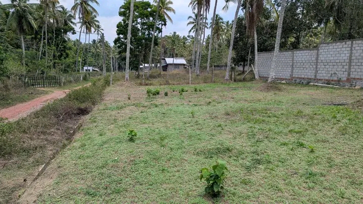 Commercial Land for Sale in Dunagaha