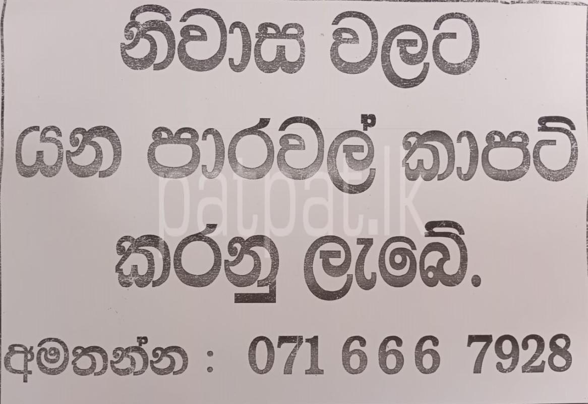 Advertisement image 1