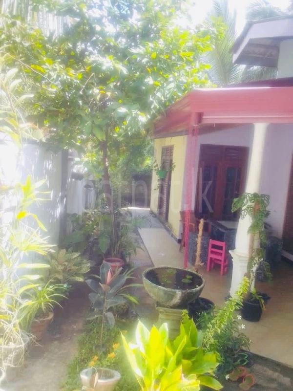 House for Sale in Embilipitiya