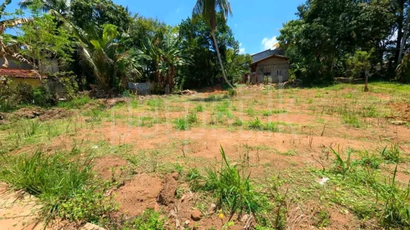 Commercial Land for Sale in Minuwangoda