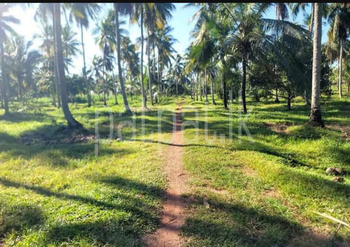 Advertisement image 6