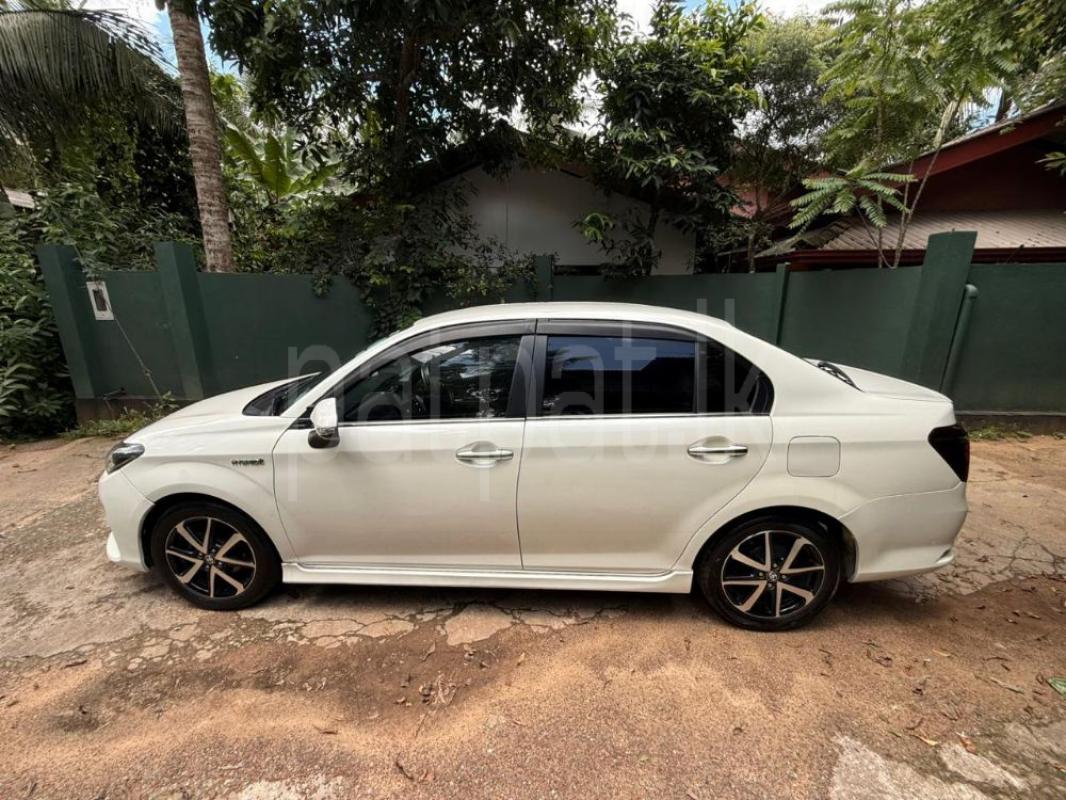 Advertisement image 3