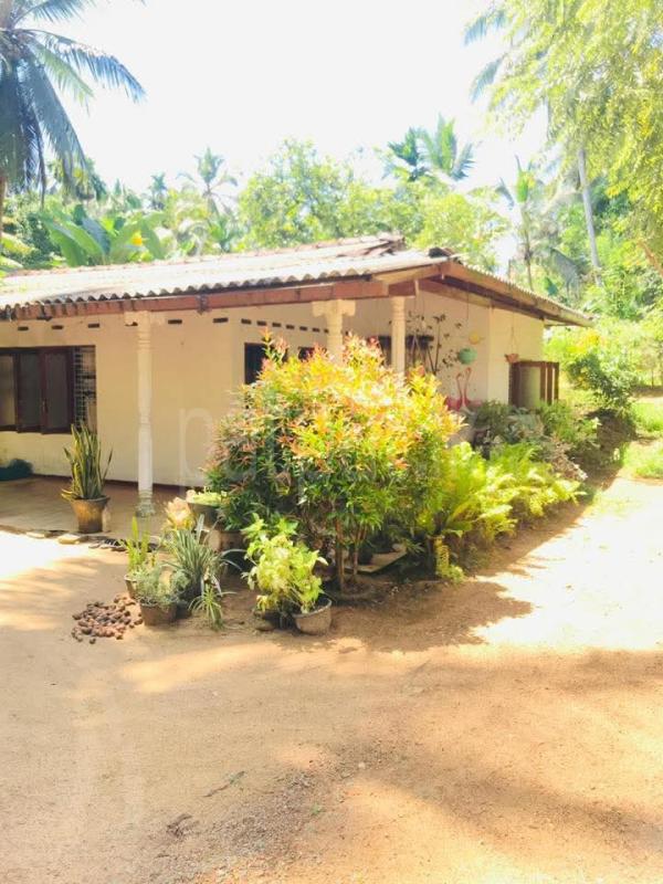 House for Sale in Elpitiya