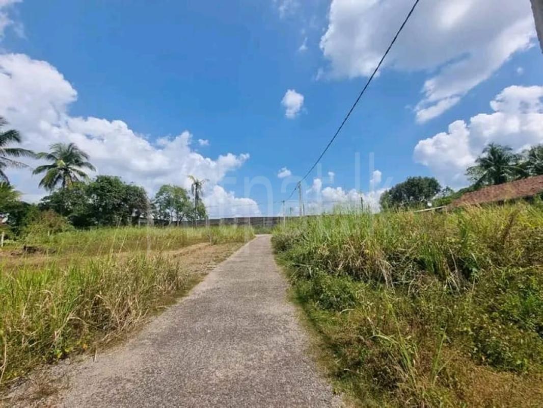 Advertisement image 6