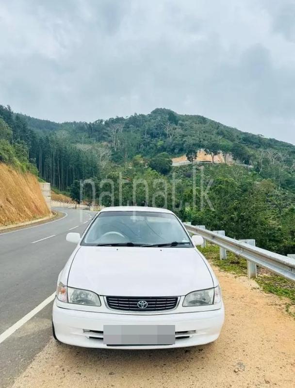 Advertisement image 1