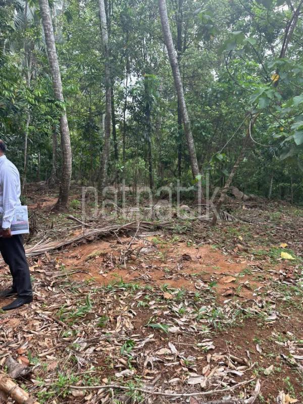 Residential Land for Sale in Nittambuwa