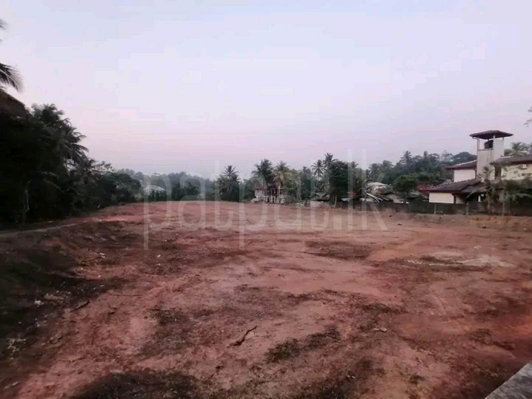 Residential Land for Sale in Wadduwa