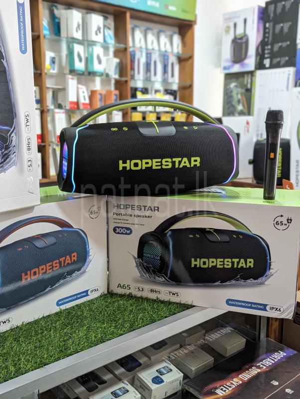 Hopestar A65 High Power Outdoor Party Speakers (300W)