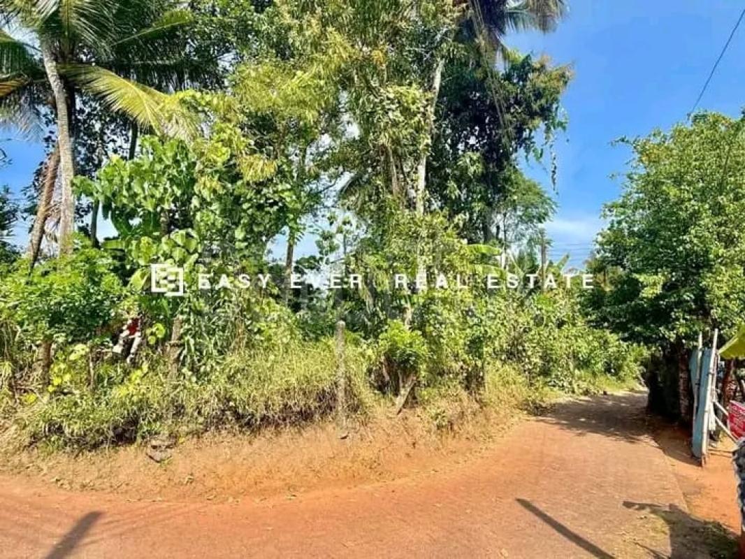 Residential Land for Sale in Kalagedihena ads-image-1