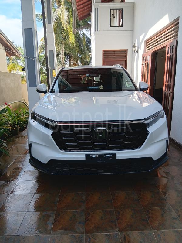 Advertisement image 1