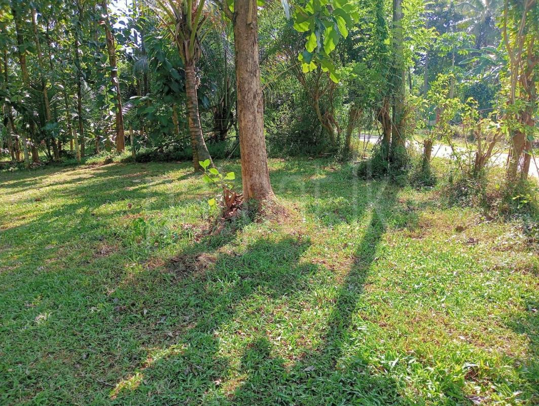 Residential Land for Sale in Katana
