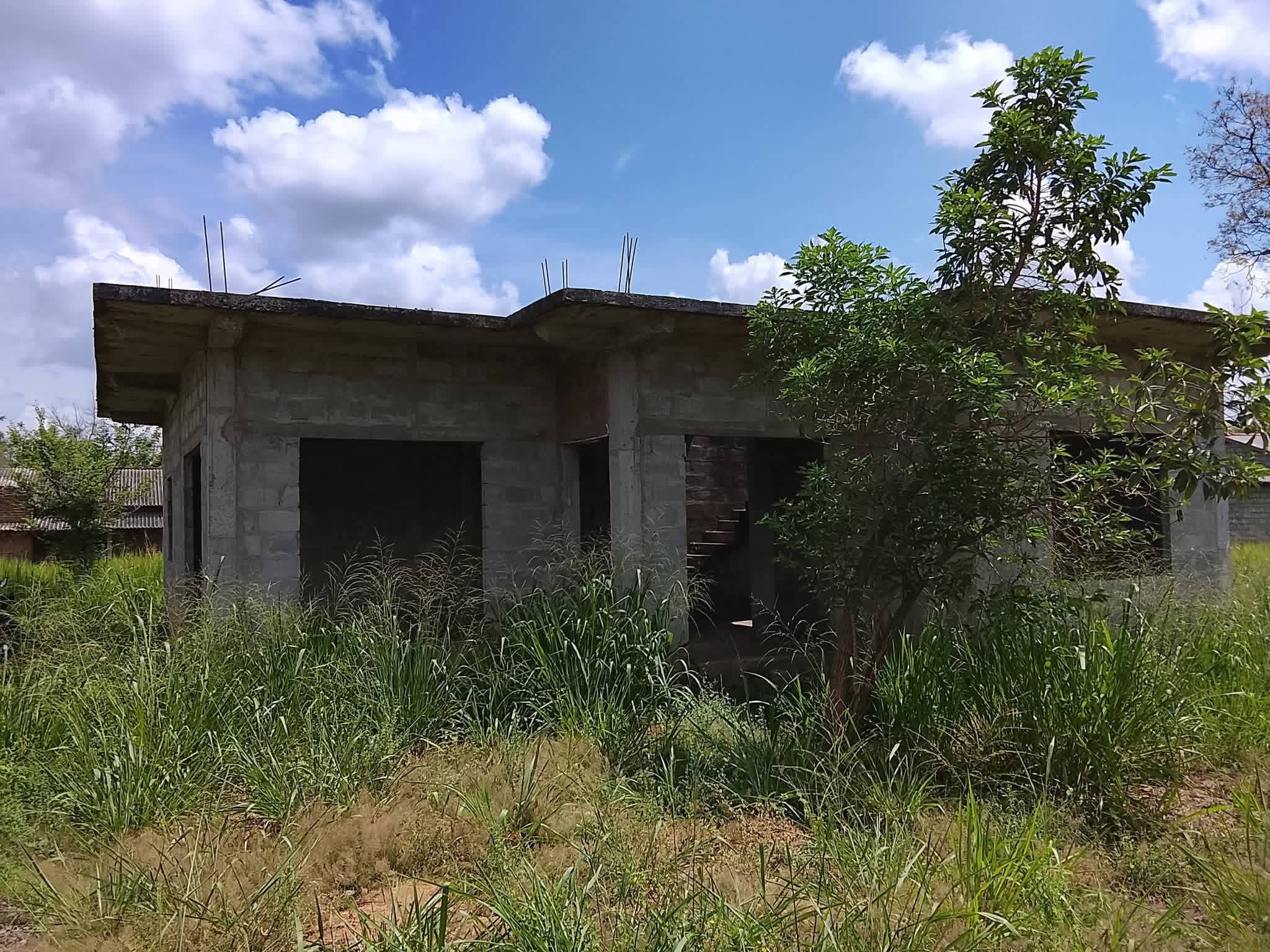 Agricultural Land for Sale in Giritale ads-image-1