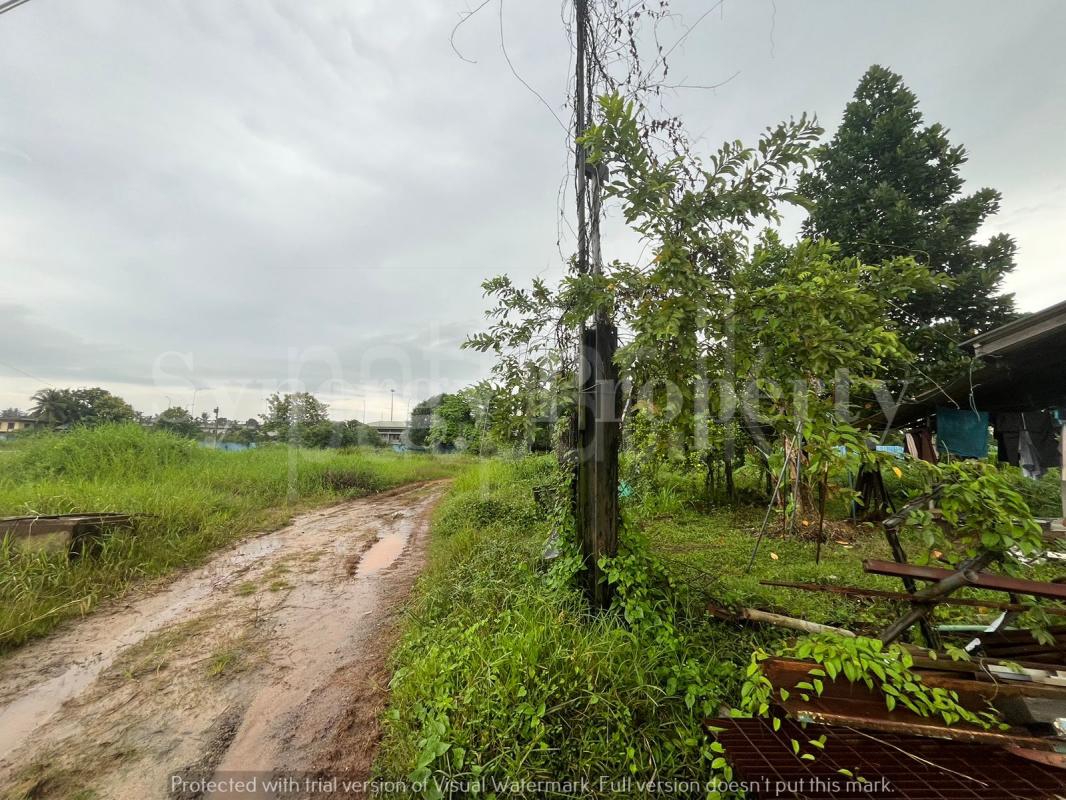 Advertisement image 6