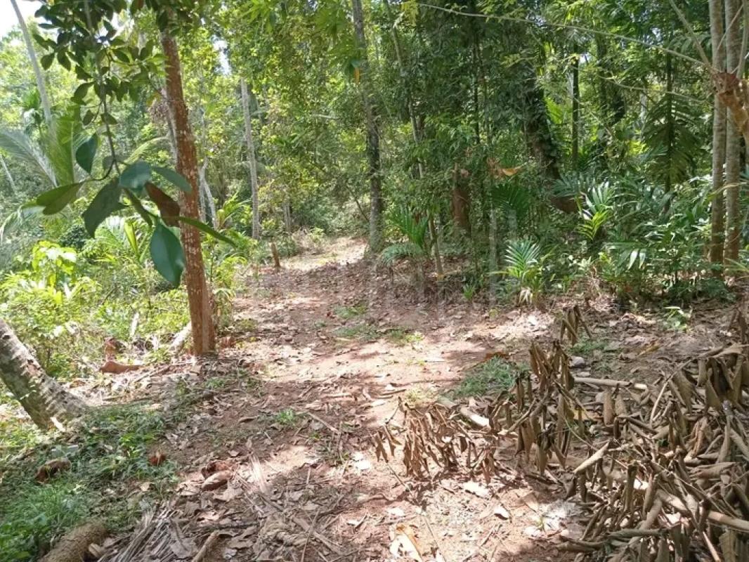 Residential Land for Sale in Beliatta