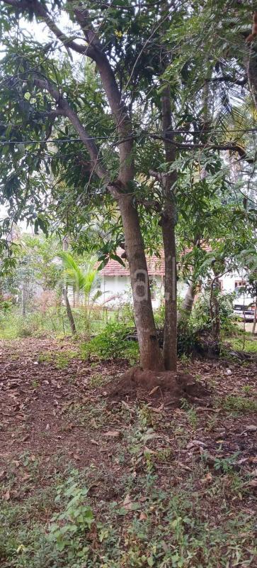 Residential Land for Sale in Kataragama