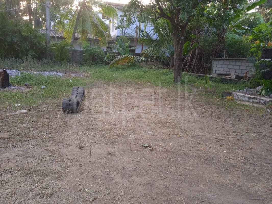Residential Land for Sale in Mahara ads-image-1