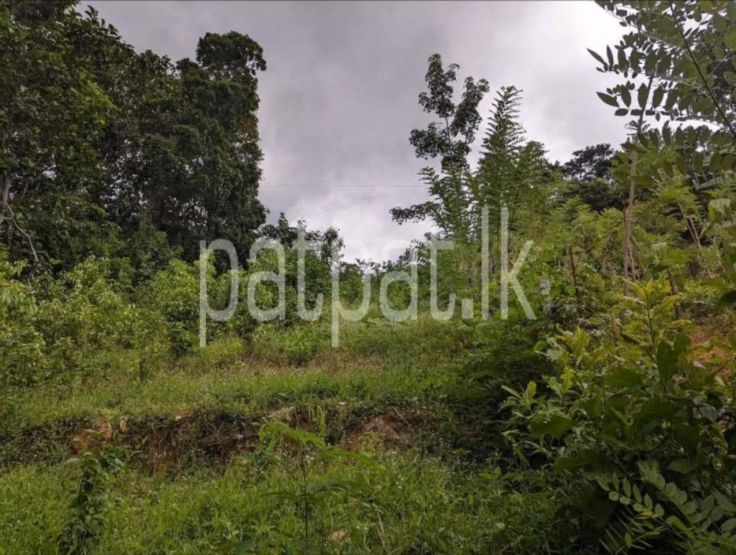 Advertisement image 6