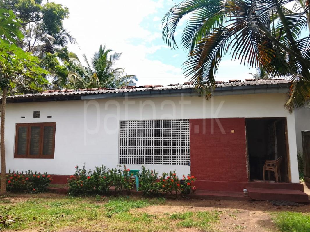 House for Rent in Panadura