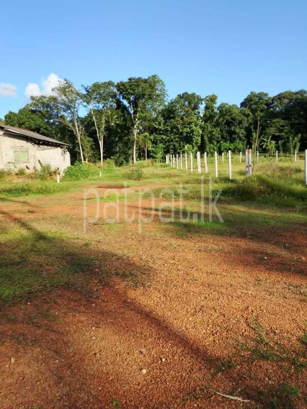 Commercial Land for Sale in Nittambuwa