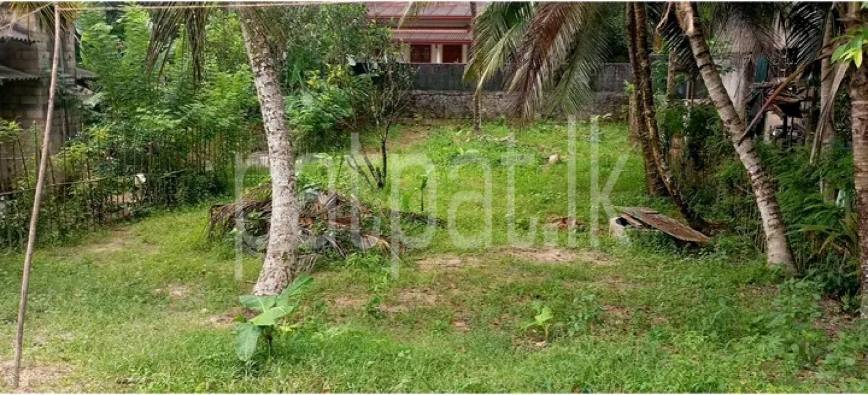 Residential Land for Sale in Talagampola