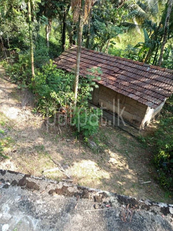 Agricultural Land for Sale in Neluwa