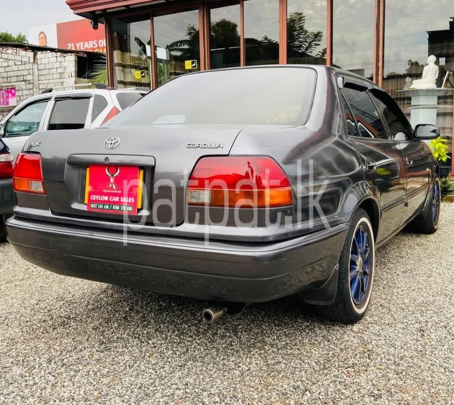 Advertisement image 3