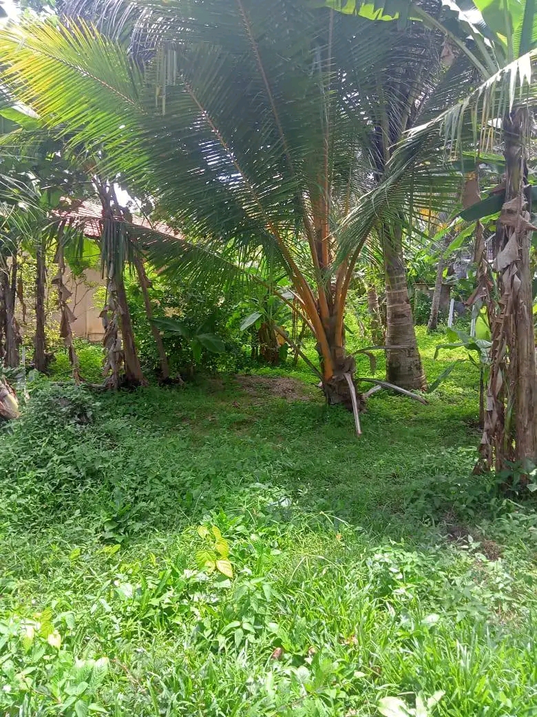 Residential Land for Sale in Maggona ads-image-1