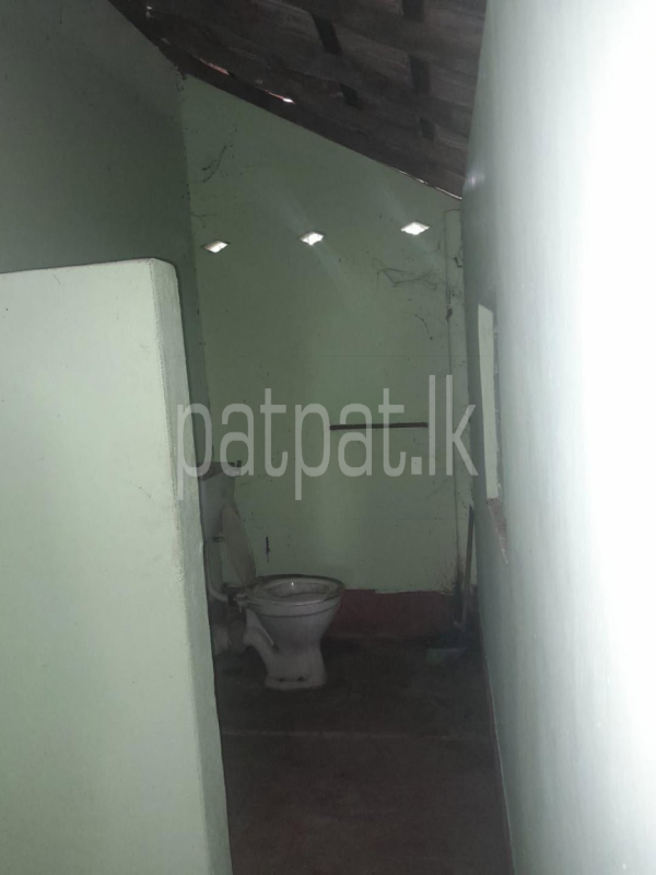 House for Sale in Giriulla