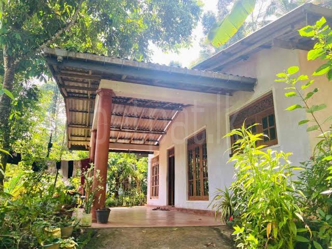 House for Rent in Peradeniya