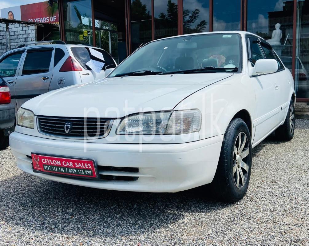 Advertisement image 4