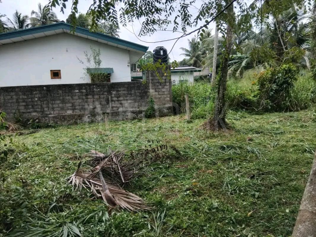 Residential Land for Sale in Maho