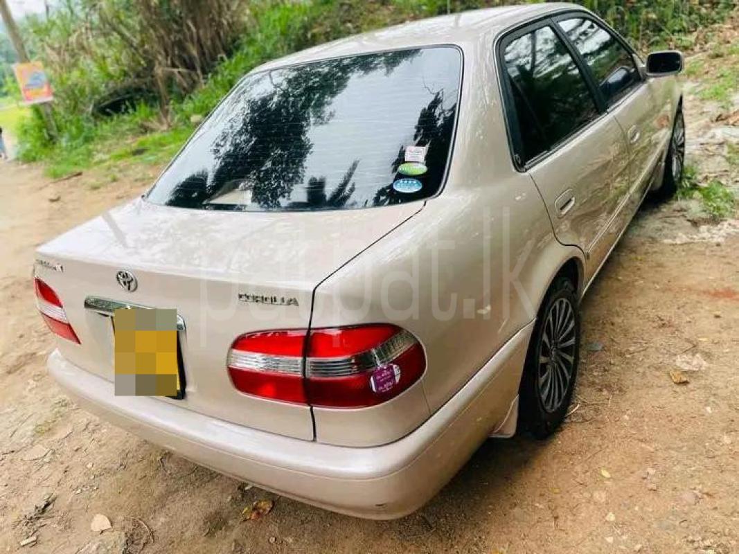 Advertisement image 4