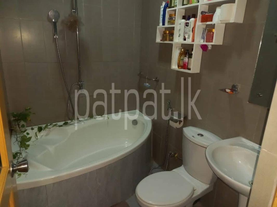 Advertisement image 6