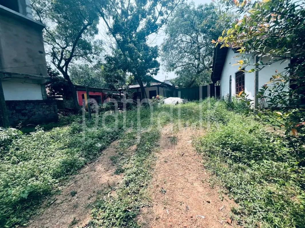 Residential Land for Sale in Ragama