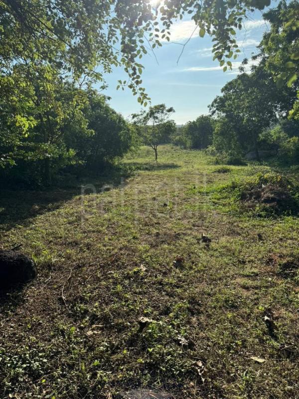 Residential Land for Sale in Kirinda ads-image-1