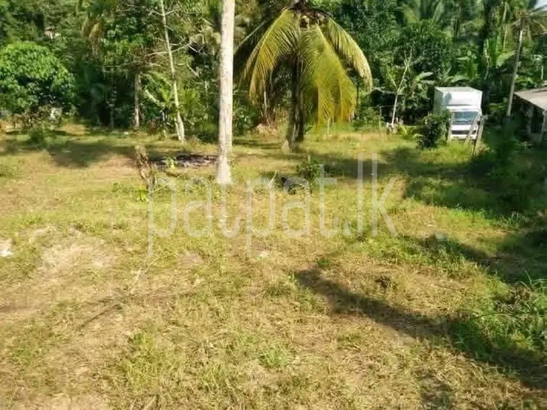 Agricultural Land for Sale in Biyagama