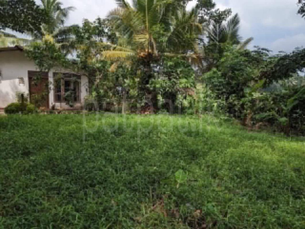 Residential Land for Sale in Kadawatha