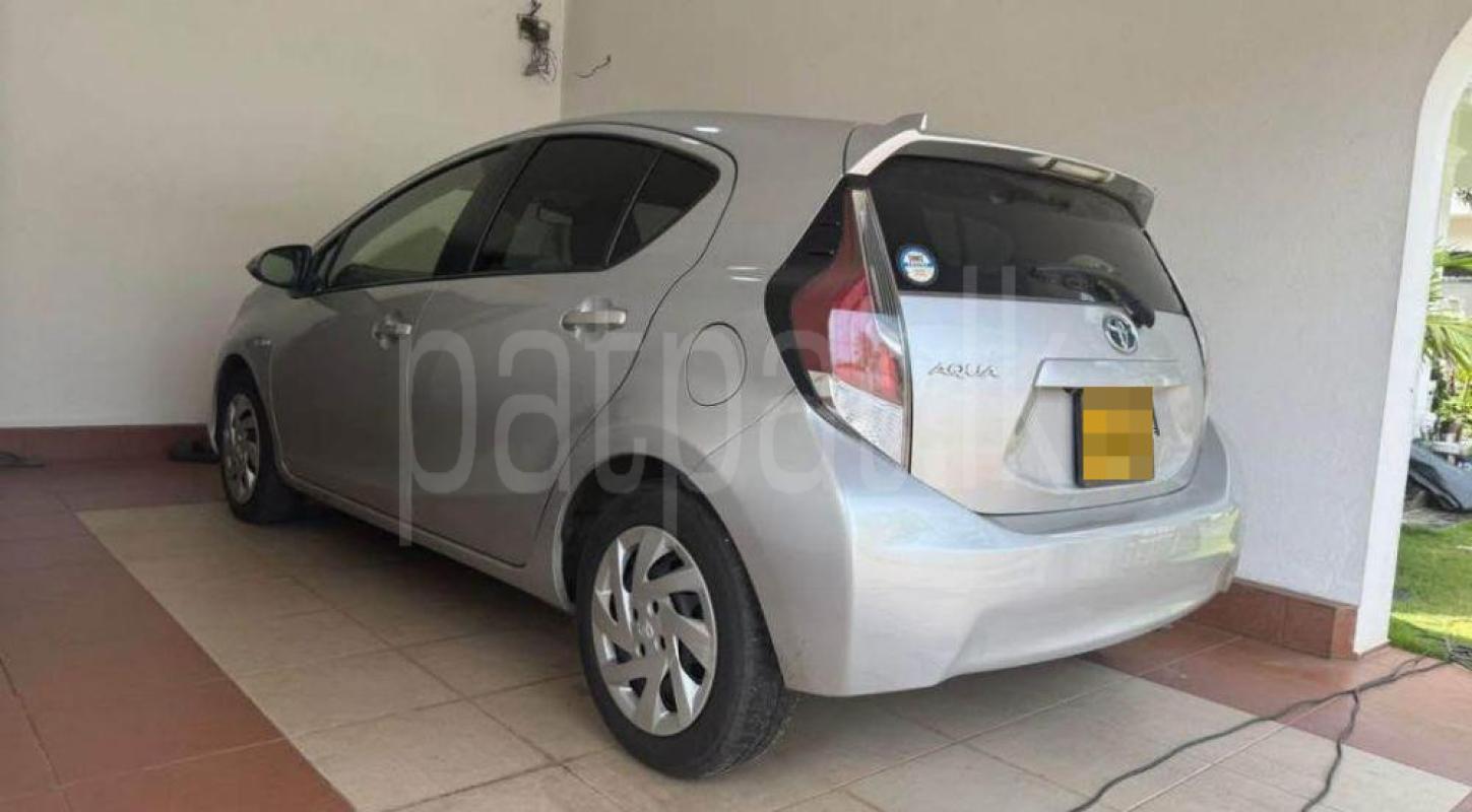 Advertisement image 2