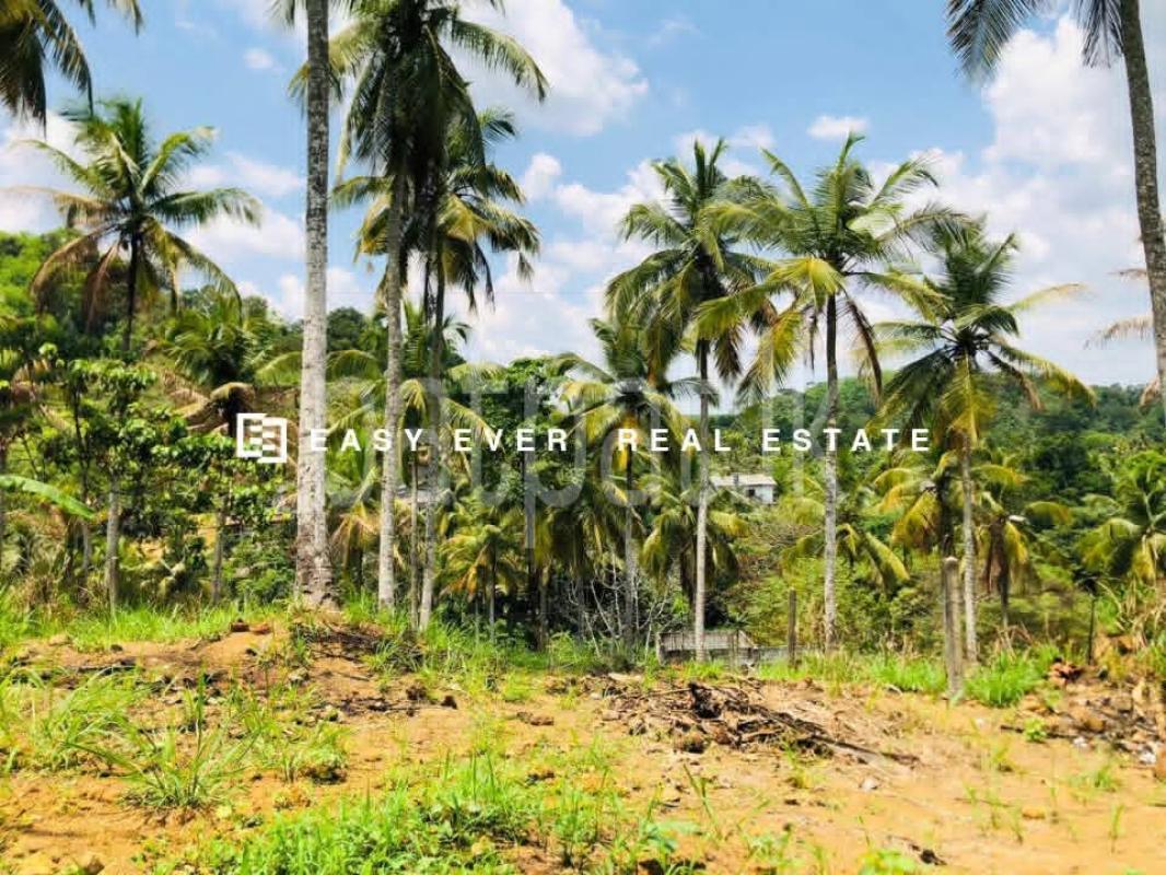 Residential Land for Sale in Warakapola