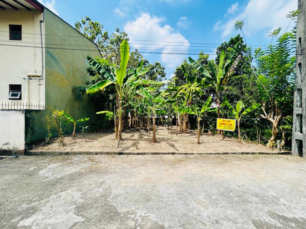 Residential Land for Sale in Kottawa