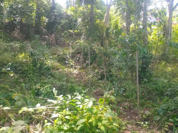 Residential Land for Sale in Badulla