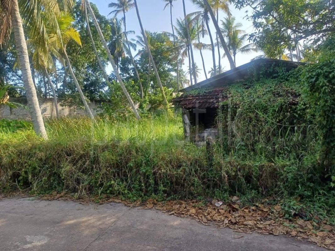 Residential Land for Sale in Ja-Ela ads-image-1