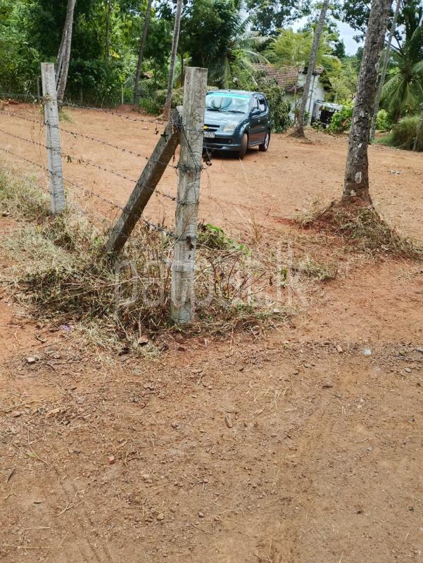 premium-listing-image