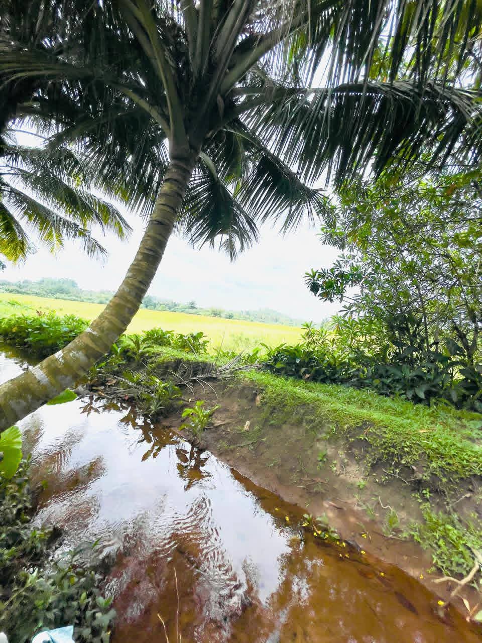 House for Sale in Kotte