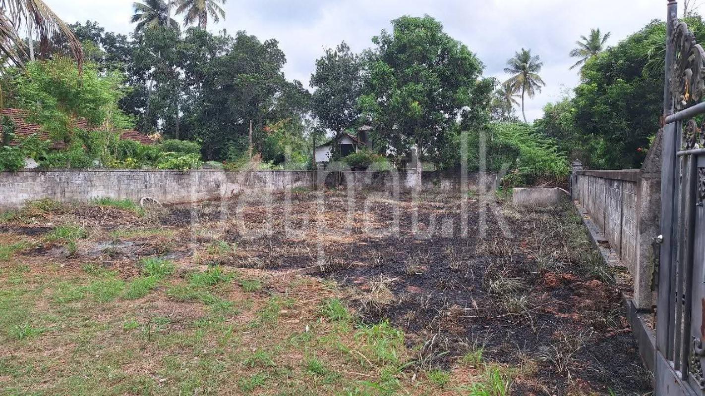 Commercial Land for Sale in Kuliyapitiya ads-image-1